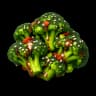 Oishi Broccoli