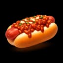 Bolognese Dog