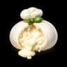Burrata Stracciatella