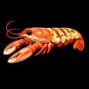 Langoustines