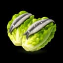 Lettuce Hearts with Anchovies