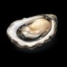 Oyster with Passion Fruit Ponzu Sauce