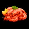 Scarlet Prawn