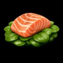 Salmon / Spinach / Sea / Chlorophyll