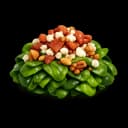 Warm salad