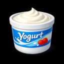 Natural Artisan Yogurt 1kg