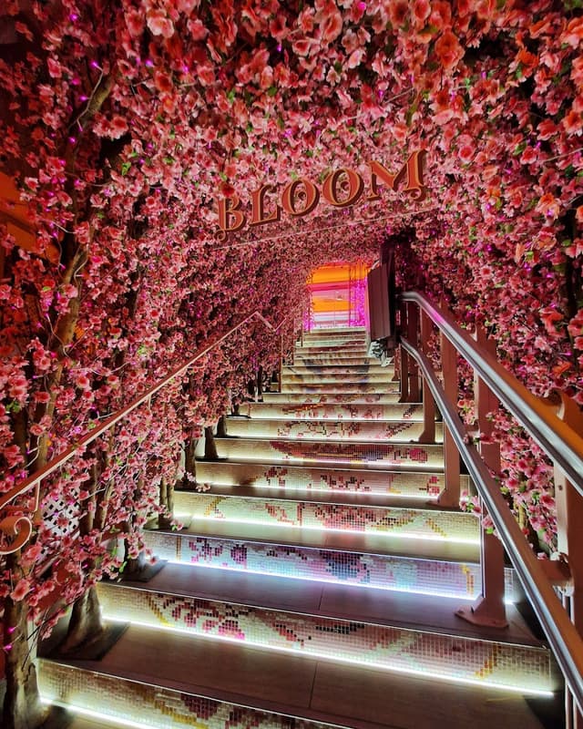 Bloom photo 3