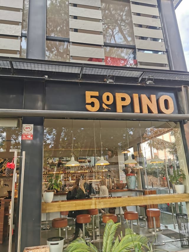 5° Pino photo 4