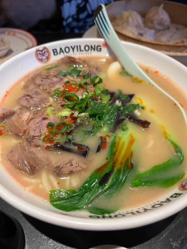 Baoyilong photo 2